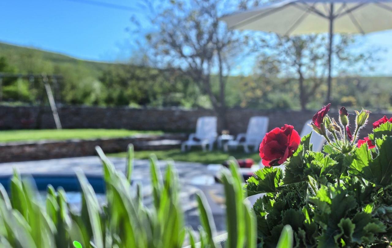 Dalmatia Stone House - Heated Pool Guest House Biorine Bagian luar foto
